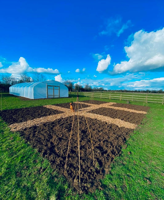 Establishing Our Herb and Edible Flower Garden