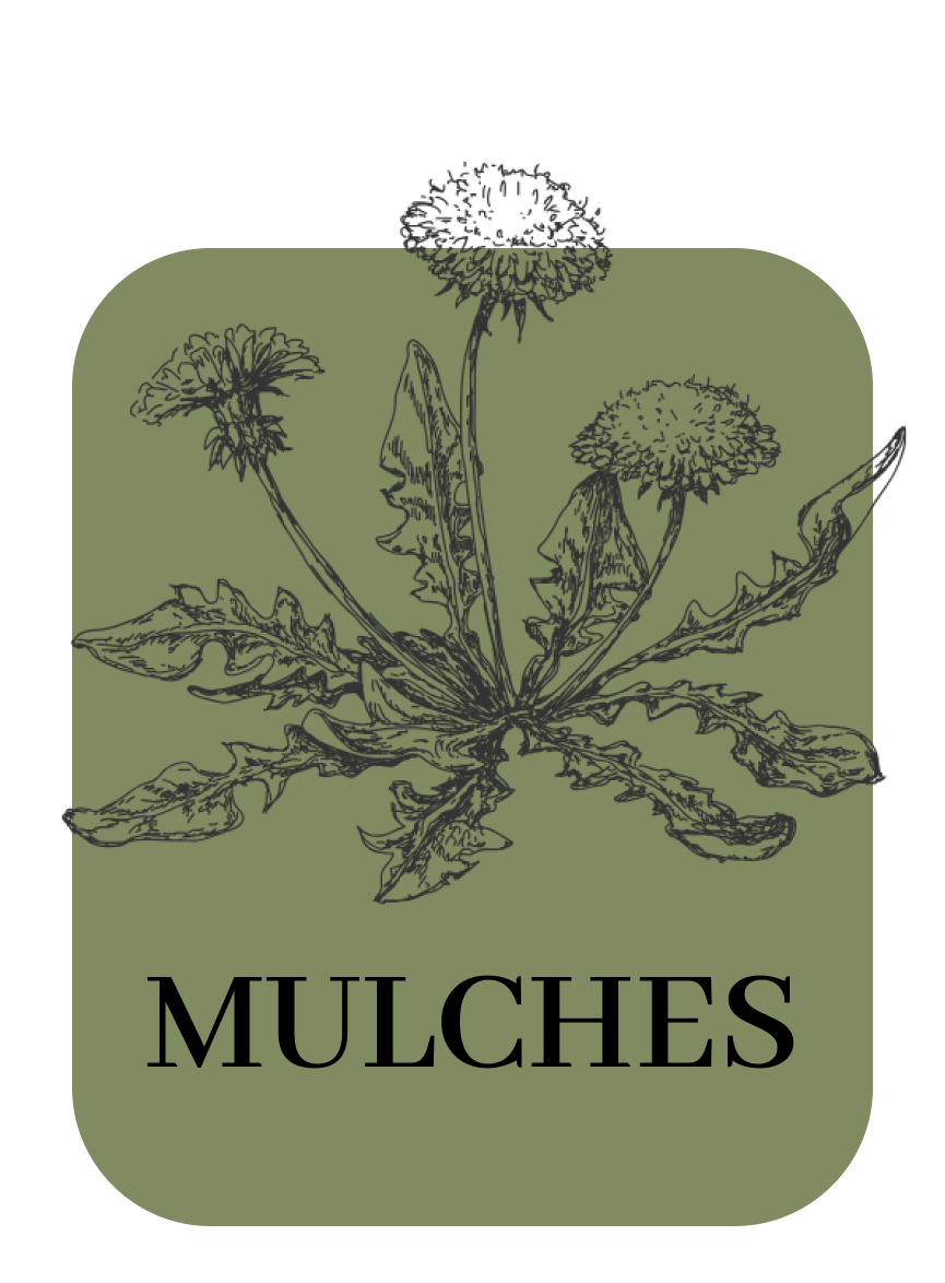 Mulches