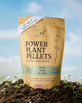 Power Plant Pellets