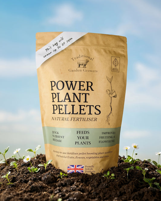 Power Plant Pellets